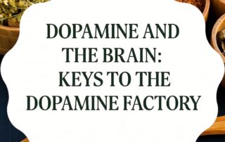 @mindbodycoop graphic promoting the blog Dopamine and the Brain: Keys to the Dopamine Factory