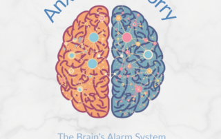 Illustration of a brain split into two halves labeled anxiety vs worry, showing neural connections that represent the brain’s alarm system.