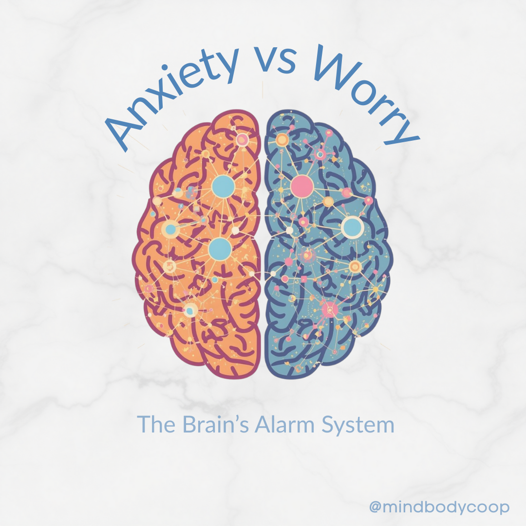Illustration of a brain split into two halves labeled anxiety vs worry, showing neural connections that represent the brain’s alarm system.